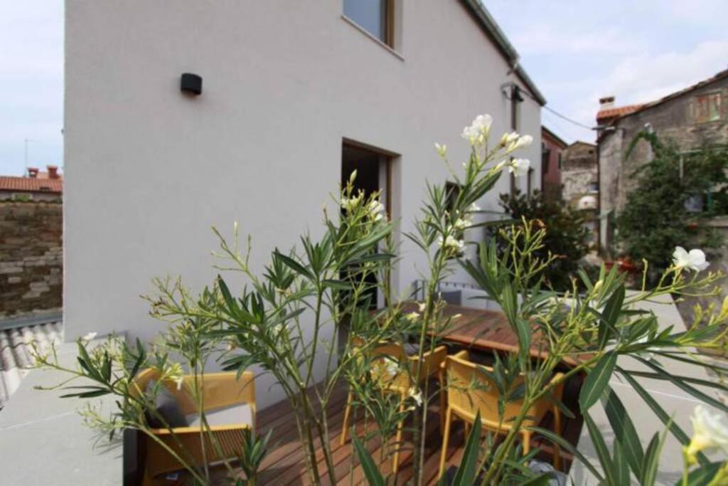 הוילה Sečovlje Contemporary House Padna מראה חיצוני תמונה